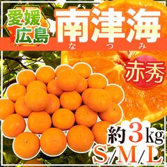 dショッピング | 『フルーツ / 食品』で絞り込んだランキング順の通販