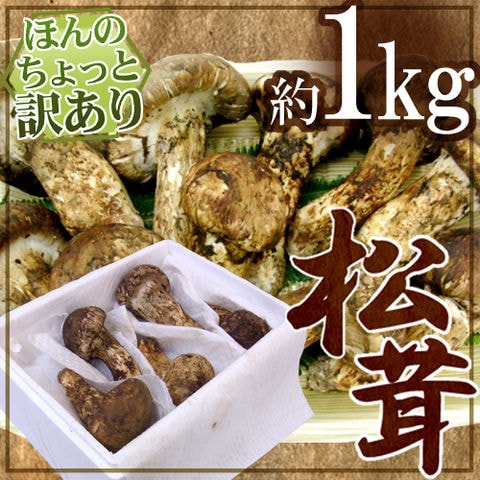 ”中国産 松茸” 約1kg 原体・ほんのちょっと訳あり つぼみ～開き 大きさおまかせ（冷蔵便）【予約 7月～8月以降】 送料無料〈*北海道・沖縄：追加送料必要〉
