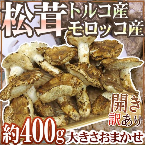 dショッピング |トルコ・モロッコ産 ”松茸” 訳あり 約400g 開き 大きさ