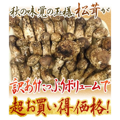 dショッピング |中国産 ”松茸” 約1kg 訳あり 開き方・大きさおまかせ