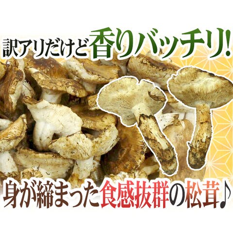 dショッピング |トルコ・モロッコ産 ”松茸” 訳あり 約400g 開き 大きさ