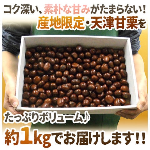 dショッピング |”天津甘栗” 約1kg（約500g×2pc） こだわり産地限定