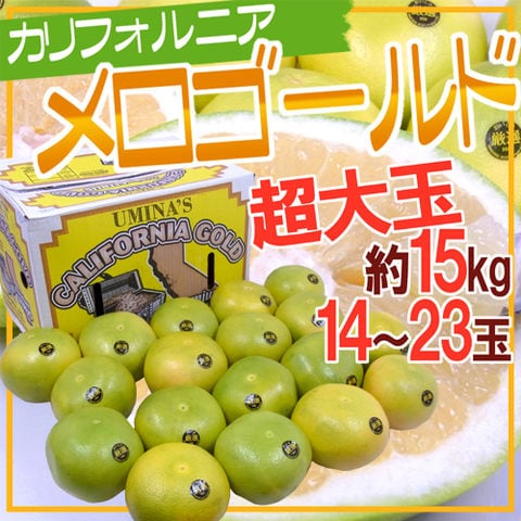 ”カリフォルニア産 メロゴールド” 超大玉 14～23玉 約15kg【予約 11月末以降】 送料無料〈*北海道・沖縄：追加送料必要〉