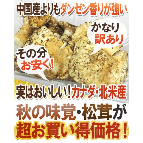 dショッピング |カナダ・北米産 ”松茸” かなり訳あり 約1kg 原体 大き