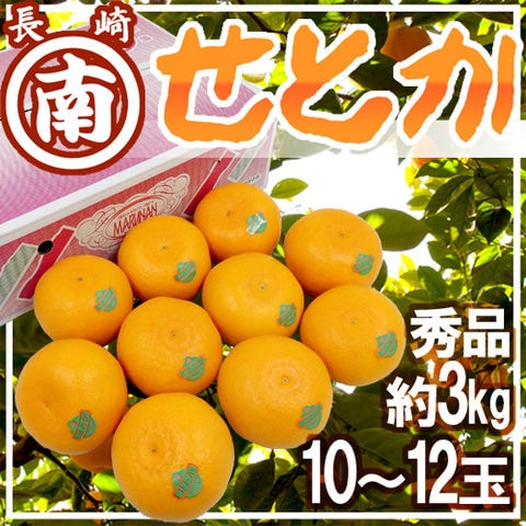 長崎産 ”マルナンせとか” 大玉 10～12玉 約3kg 化粧箱【予約 2月以降】 送料無料〈*北海道・沖縄：追加送料必要〉