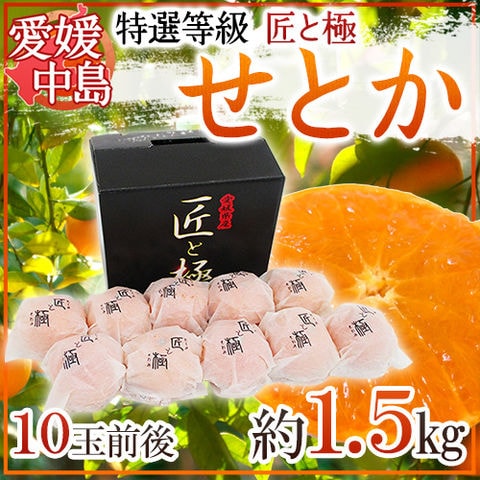愛媛・中島産 ”せとか 匠と極” 10玉前後 約1.5kg 化粧箱【予約 2月下旬以降】 送料無料〈*北海道・沖縄：追加送料必要〉
