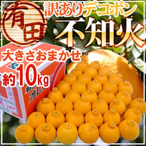 ”和歌山 有田産 不知火・しらぬい（訳ありデコポン）” 約10kg 大きさおまかせ【予約 2月以降】 送料無料〈*北海道・沖縄：追加送料必要〉