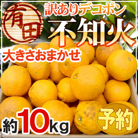 ”和歌山 有田産 不知火・しらぬい（訳ありデコポン）” 約10kg 大きさおまかせ【予約 2月下旬以降】 送料無料〈*北海道・沖縄：追加送料必要〉