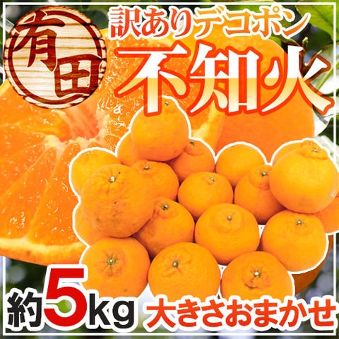 ”和歌山 有田産 不知火・しらぬい（訳ありデコポン）” 約5kg 大きさおまかせ【予約 2月下旬以降】 送料無料〈*北海道・沖縄：追加送料必要〉
