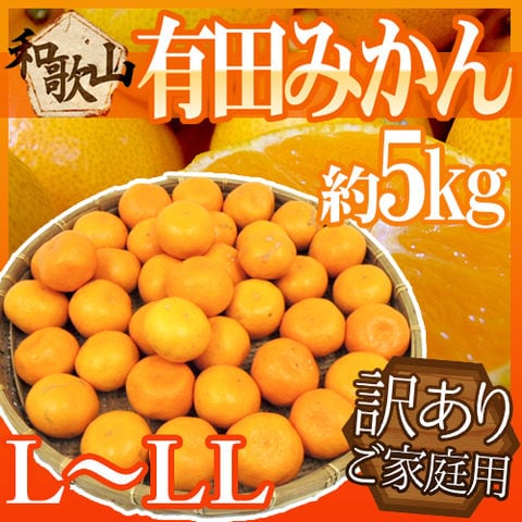 ”和歌山産 有田みかん” 訳あり L～LLサイズ 約5kg ありだみかん【予約 11月末以降】 送料無料〈*北海道・沖縄：追加送料必要〉