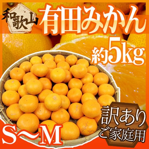 ”和歌山産 有田みかん” 訳あり S～Mサイズ 約5kg ありだみかん【予約 11月末以降】 送料無料〈*北海道・沖縄：追加送料必要〉