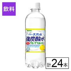 【F】(送料込)伊賀の天然水強炭酸水グレープフルーツ 500ml×24本《沖縄・離島配送不可》