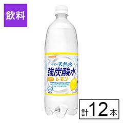 【F】(送料込)伊賀の天然水強炭酸水レモン 1000ml×12本《沖縄・離島配送不可》