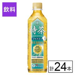 【F】(送料込)特定保健用食品 伊右衛門 特茶 ジャスミン 500ml×24本《沖縄・離島配送不可》