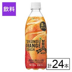 【B】ウィルキンソン　タンサン　No.1ラベル 500ml×48本《沖縄・離島配送不可》