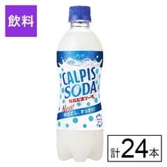 【B】カルピスソーダ 500ml×24本《沖縄・離島配送不可》