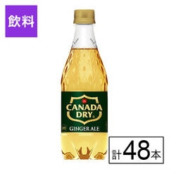【E】(送料込)カナダドライ ジンジャーエール PET 500ml×48本《沖縄・離島配送不可》