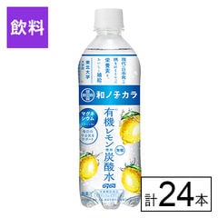 【F】(送料込)和ノチカラ　有機レモン使用炭酸水 500ml×24本《沖縄・離島配送不可》