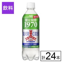 【B】三ツ矢サイダー 500ml×24本《沖縄・離島配送不可》