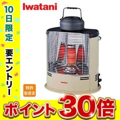 Iwatani カセットガスストーブ 「デカ暖�V」