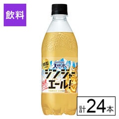 【B】サントリー天然水 特製ジンジャーエール 500ml×24本《沖縄・離島配送不可》