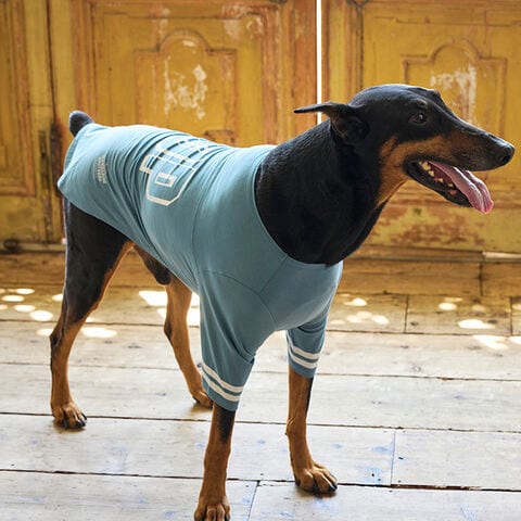 dショッピング |MANDARINE BROTHERS マンダリンブラザーズ