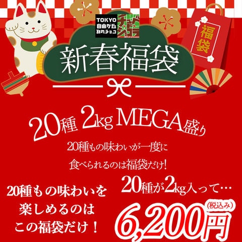 dショッピング |【2024年福袋】割れチョコ新春20種メガミックス