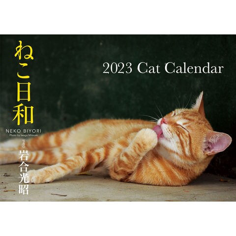 Dショッピング ねこ日和ｃａｔ ｃａｌｅｎｄａｒ ｓ１３ ２０２３ 岩合光昭 カテゴリ 生活の知識 その他の販売できる商品 Honyaclub Com ドコモの通販サイト