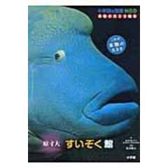 Dショッピング さかなクンの東京湾生きもの図鑑 さかなクン 工藤孝浩 カテゴリ 学習参考書 問題集 その他の販売できる商品 Honyaclub Com ドコモの通販サイト