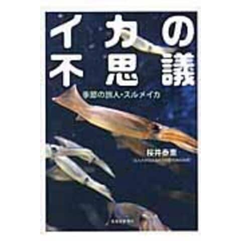 dショッピング |イカの不思議 季節の旅人・スルメイカ /桜井泰憲