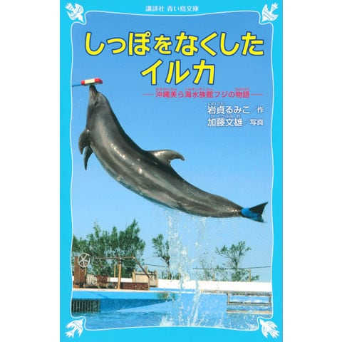 dショッピング |しっぽをなくしたイルカ 沖縄美ら海水族館フジの物語