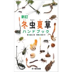 dショッピング |調べてびっくり！テントウムシ ゲッチョ先生のテントウムシコレクション /盛口満 | カテゴリ：学習参考書・問題集  その他の販売できる商品 | HonyaClub.com (0969784879817723)|ドコモの通販サイト