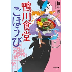 武藤 佳恭 人気 超実践 アンサンブル機械学習