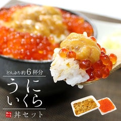 うに イクラ 海鮮丼セット 約6杯分（無添加生ウニ いくら醤油漬け） 送料無料[[ウニイクラセット-3p]