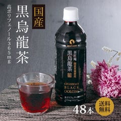 黒烏龍茶 茶匠庵 プレミアム国産黒烏龍茶 ペットボトル 2ケース 500ml×48本 送料無料 国産茶葉100% 国産 ウーロン茶 高ポリフェノール ギフト プレゼント ウーロン茶 お礼 茶匠庵 黒ウーロン茶 ポイント消化