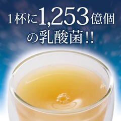 乳酸菌 サプリメント 粉末 33種の乳酸菌 30包入り 送料無料