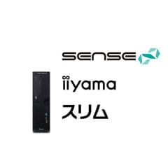 ポイントアップ】iiyama PC ゲーミングPC LEVEL-R7X7-LCR79D-VLX-M