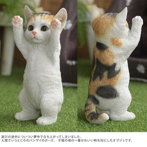 本物そっくり 子ネコ ばんざーい 三毛 猫 置物 雑貨  - dショッピング
