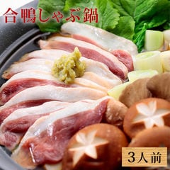 合鴨しゃぶ鍋セット3人前（鴨つみれ付き） 鴨鍋 鴨鍋セット 鴨肉 送料無料（北海道・沖縄を除く）