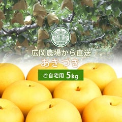 広岡農場のあきづき5kg詰（7～14玉入） 鳥取県産 梨 なし 訳あり（ご自宅用） 送料無料（北海道・沖縄を除く）