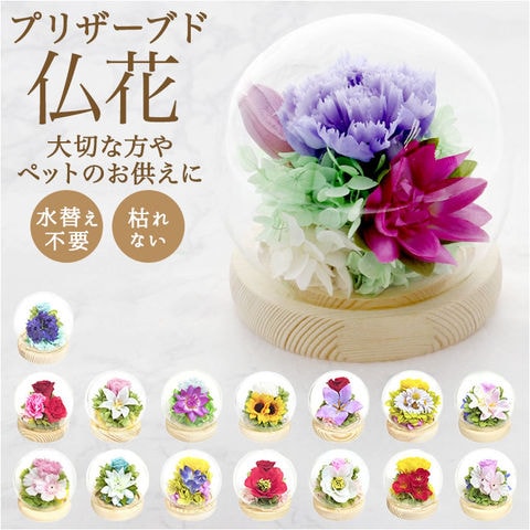 お供え ガラスドーム 四季と暦【卯月】