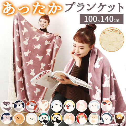 ◎新品未使用タグ付き 二枚合わせ毛布 ベアー柄♡可愛い♡あったか（限定1点のみ） sbblanket01.jpg