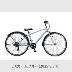78】子供用自転車 子供車 PARTENZA ブラック 26インチ 676】《関西
