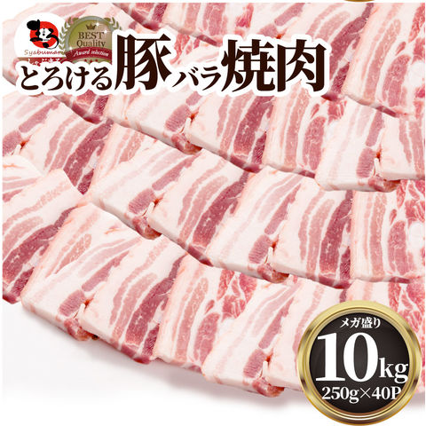豚バラ肉 10kg 焼肉 豚肉 250g×40パック メガ盛り 豚肉 バーベキュー 焼肉 バラ 小分け 便利