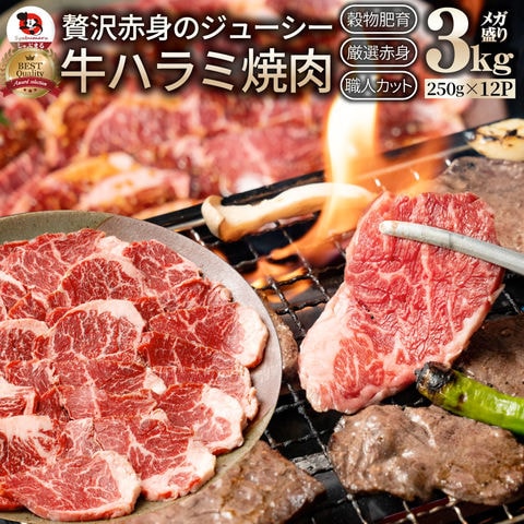 牛肉 肉 食品 ハラミ 焼肉 3kg 250g×12P メガ盛り 赤身 はらみ バーベキュー 美味しい  お祝い    ギフト   送料無料 お歳暮 クリスマス