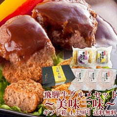 飛騨牛グルメセット　〜美味三味〜 飛騨牛コロッケ1袋、飛騨牛ミンチカツ1袋、飛騨牛ハンバーグ3個 送料無料 ギフト箱入 送料無料 冷凍 惣菜 肉 ギフト お祝い 御礼 御祝 内祝 プレゼント