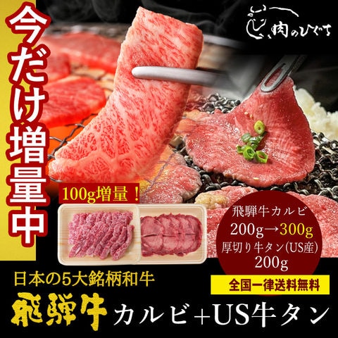 ＼今だけ増量中／【冷凍】飛騨牛 カルビ 200g→300g ＆ 牛タン 200g 焼肉 銘柄和牛 牛たん バーベキュー BBQ 少量 ソロキャンプ 送料無料 hrp