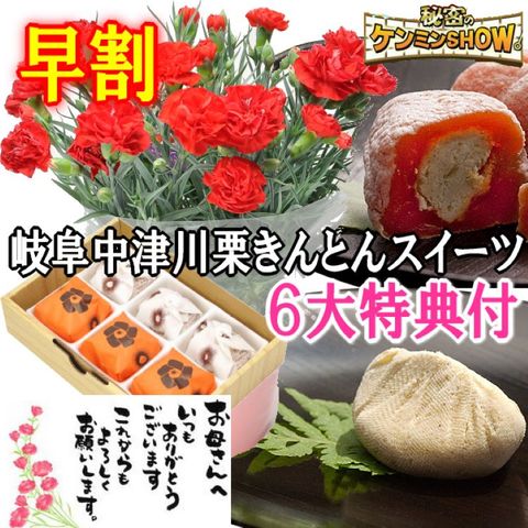 生花カーネーション5号鉢＆和菓子セット