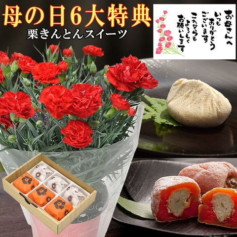 母の日 プレゼント ギフト スイーツ お菓子 花  食べ物 【送料無料】 生花カーネーション5号鉢＆和菓子 6大特典付 岐阜中津川 栗きんとん3個・栗柿3個 【合計6個入】 （ 千一 ） ☆ 5月7日～5月10日にお届け ☆ ※北海道・沖縄県は別途送料(500円) 【他の商品と同梱はできません】