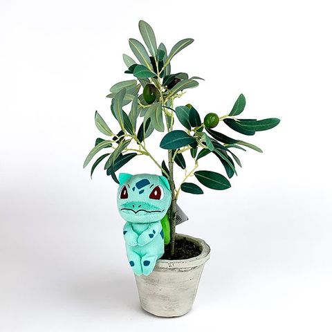 dショッピング |ポケットモンスター フシギダネ ちょっこりさん